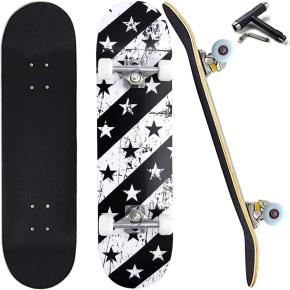 Pro Complete Skateboards for Beginners Adults Youths Teens Kids Girls Boys 31''X8'' 