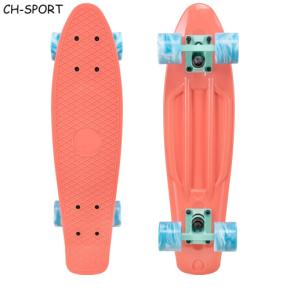 Mini Cruiser Plastic Skateboard