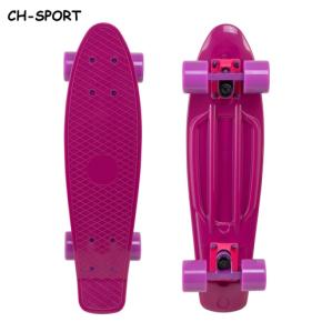 Berry Mini Cruiser Plastic Skateboard 