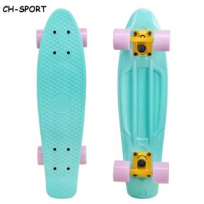 Mint Mini Cruiser Plastic Skateboard