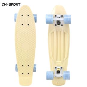 Snow Mini Cruiser Plastic Skateboard